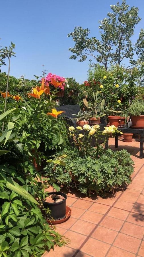 Il Giardino Sui Tetti Apartment Bologna Ngoại thất bức ảnh